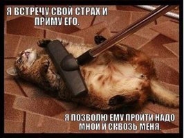 Фотоподборка за 27.03.2018