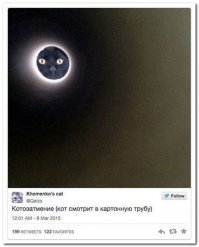 Ничего милого, для кота это постоянный стресс. Коты живут на своей небольшой территории и переезд в новое место их очень пугает.