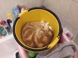 а мы в тазике