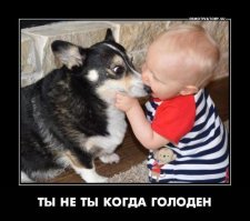 Питон каким-то образом проглотил тапок, и ему потребовалась операция, чтобы его удалить