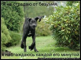 Психиатр