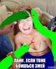 Люди до и после того, как фотограф напал на них с воздуходувкой