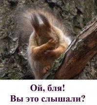 Америка неожиданно присвоила Луну 