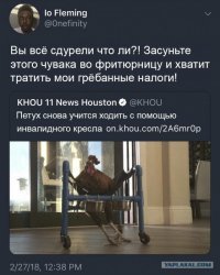 Эта курица осталась без головы, но она продолжает жить