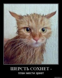 мы наблюдаем за вами...