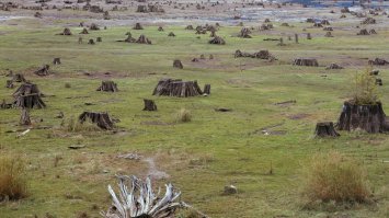 Скорей всего вот так....