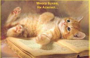 О качестве советского строительства или Челябинская цветочная клумба