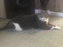 Какая восхитительная очаровашка.