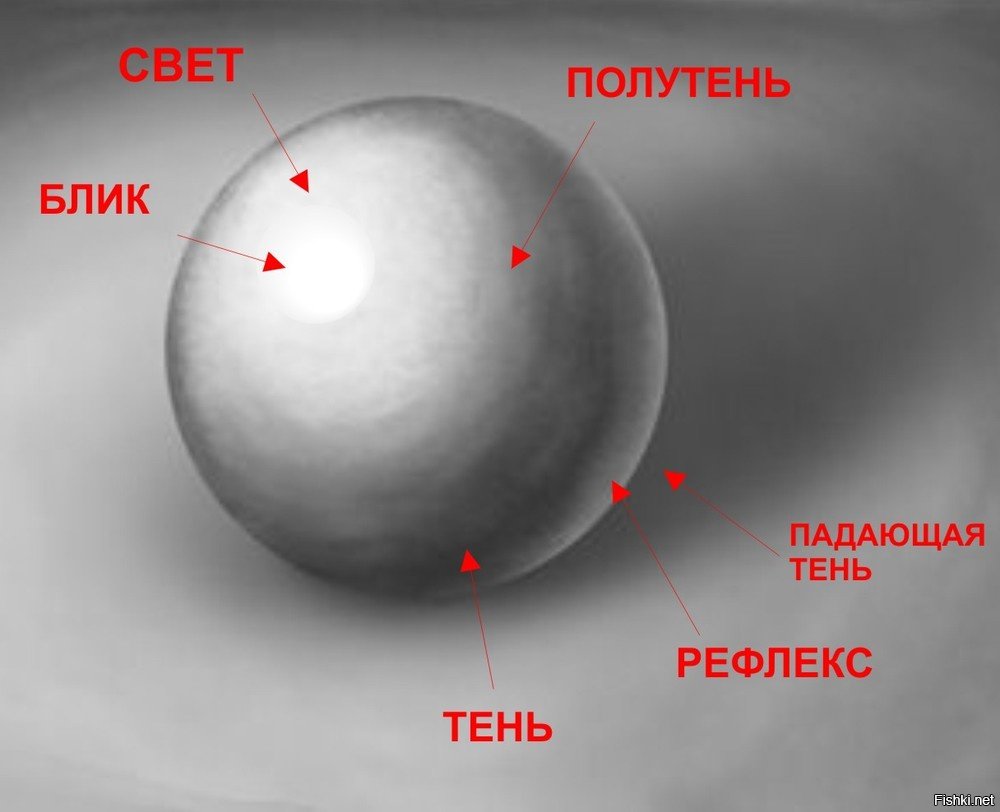 Блик свет тень полутень рефлекс блик в рисунке