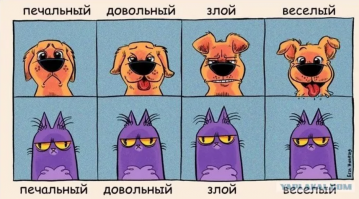 Собачий характер: замечательные портреты собак от Эльке Фогельзанг