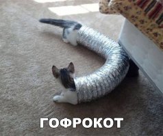 Картинки с надписями для настроения
