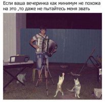 30 людей, которые случайно почувствовали себя диснеевскими принцессами