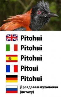 Добавте в коллекцию