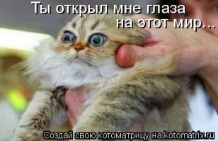 Картинки с надписями для настроения