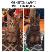 Картинки с надписями для настроения