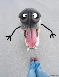 Обнимашки!!!!