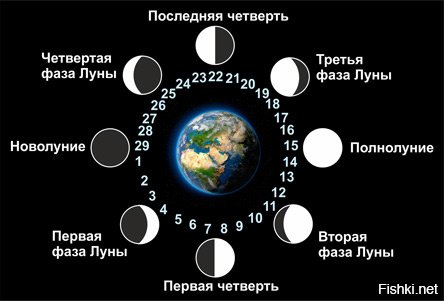 Поправлюсь. Луна не может быть плоским кругом, т.к. в этом случае мы бы никогда не увидели Луну в 3-й и 2-й фазе. Есть только одна поверхность, которая отражает свет без бликов, равномерно, независимо под каким углом ее освещают и можно наблюдать все известные фазы. Это ВНУТРЕННЯЯ СТОРОНА ПАРАБОЛОИДА, направленного всегда на Землю!