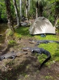 Завтрак туристом.