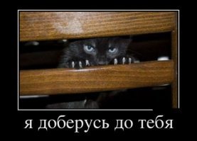 Злобные милахи. 16 крошечных, милых и очень злых зверюшек