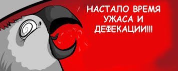 Леопард нарвался не на того человека