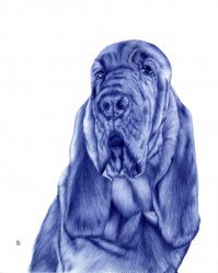 .. а вот шариковая ручка!