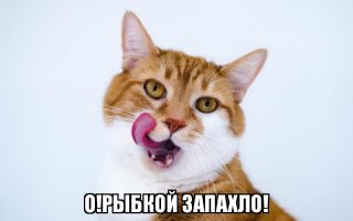 Девушка избила своего парня за излишнее внимание к промежности танцовщицы 