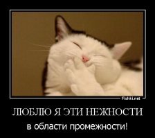 Девушка избила своего парня за излишнее внимание к промежности танцовщицы 