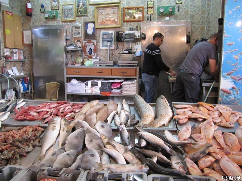 Рыбный базар В Акко, возле Хайфы.