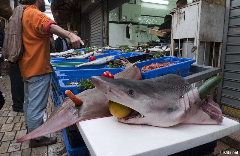 Рыбный базар В Акко, возле Хайфы.
