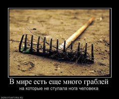 Да хоть всю жизнь