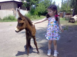 А это моя дочурка 10 лет назад с осликом.
