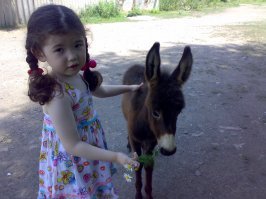А это моя дочурка 10 лет назад с осликом.