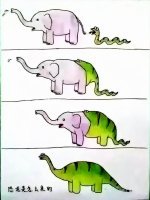 Язык мой — враг мой. Неудачную охоту хамелеона сняли на видео