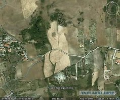 Защитные лесополосы юга России