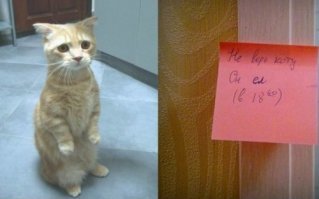 Покормите