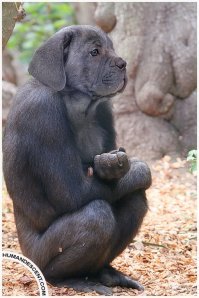 так давно, вроде бы, научились;)