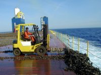 Вот тут я бы припарковался , морковка лук сельдерей и чуть чуть вина . Сытный завтра обед ужин