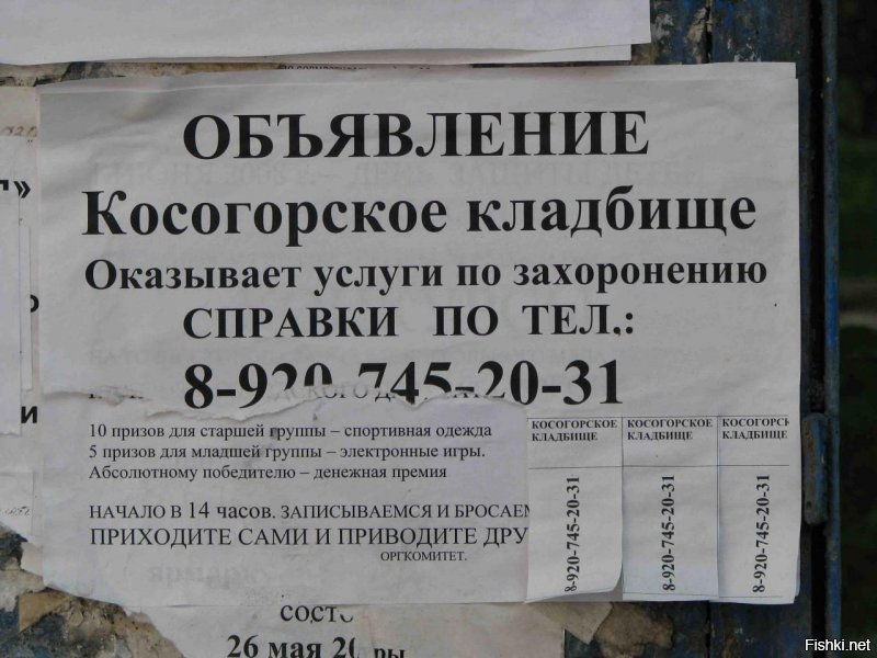 Вот как выглядят худшие виды из окон в отелях мира!