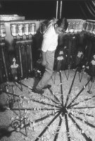 Разум, говоришь? Да, разум нужен, хотя бы того, чтобы иногда им пользоваться.

Вот так выглядел загон с 256 ящиками-гнёздами, каждое из которых было рассчитано на 15 мышей




В выводке белых мышей в среднем от 5 до 8 детенышей, иногда бывает 15. 

Ну, как там с вернувшимся разумом - не жмёт?