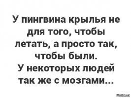 О главном продукте Москвы для российских регионов
