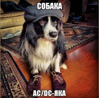 1 апреля 1980 года Брайан Джонсон