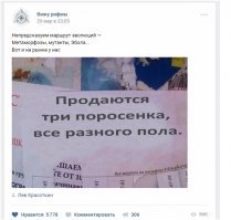 Картинки с надписями для настроения