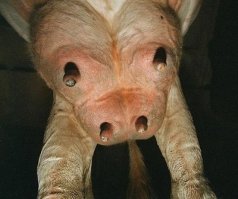 Так. Где там....ааа, вот