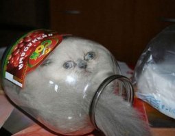 Боги маркетинга: самое лучшее из того, что успели снять