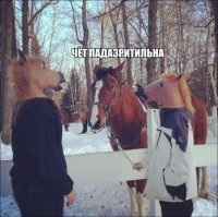 Комментарии из соц сетей