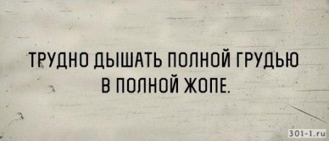 История одного дерева