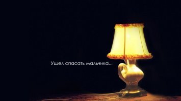 Бездомный кот спас потерявшегося мальчика в Калининградской области