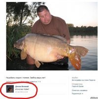 Кто из них горилла?