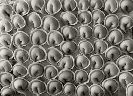 Они же с другого ракурса...