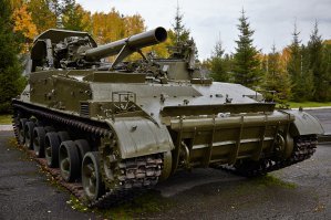 знакомьтесь Тюльпан , как он  стал тюльпаном я тоже не знаю.